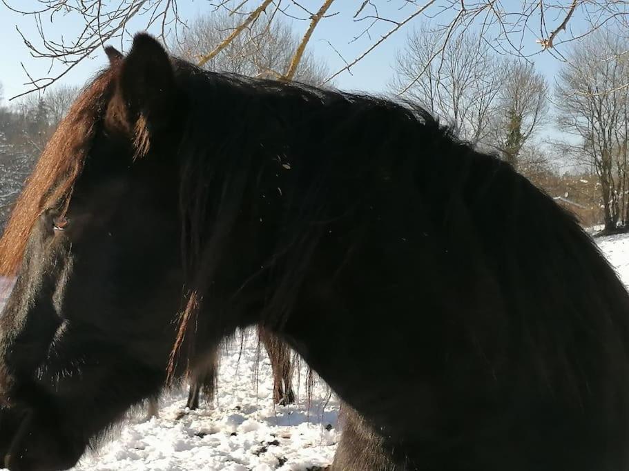 Les Merens Baulou Exteriör bild