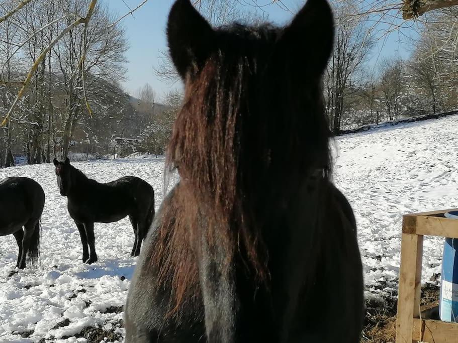 Les Merens Baulou Exteriör bild
