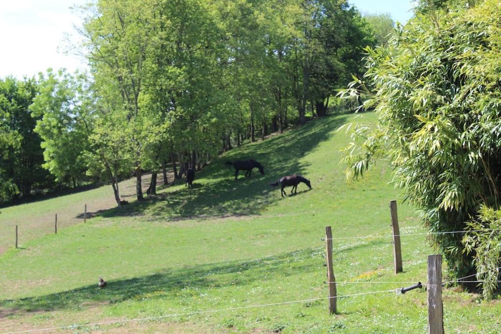 Les Merens Baulou Exteriör bild